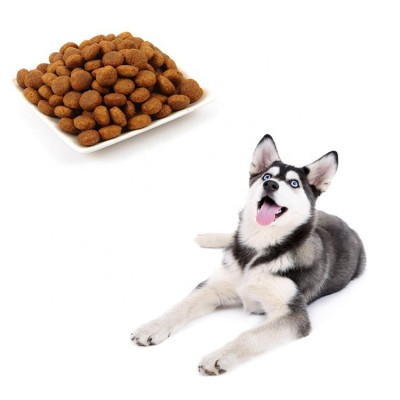 Asclepius factory supply CBD dog food